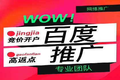 实战派经验分享：百度竞价代理成功案例揭秘